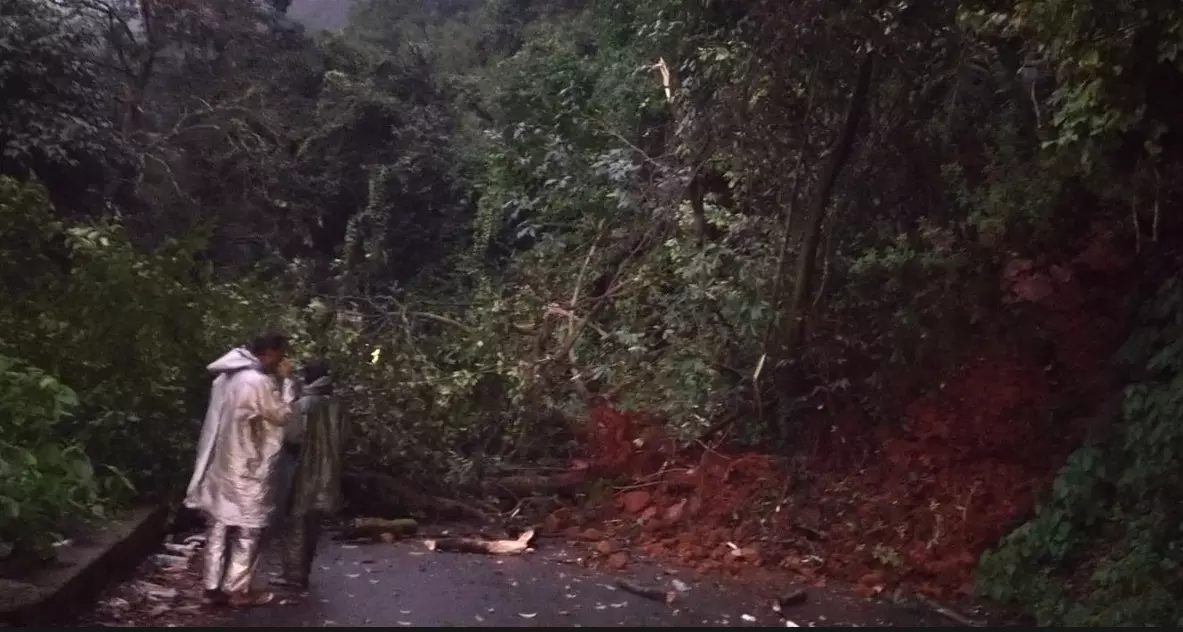 ಆಗುಂಬೆ ಘಾಟ್‌ | ಧರೆ ಕುಸಿತ ; ವಾಹನದ ಮೇಲೆ ಬಿದ್ದ ಮರ, ಸಂಚಾರ ಸ್ಥಗಿತ