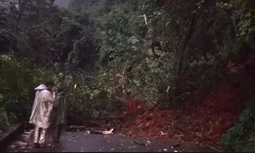 ಆಗುಂಬೆ ಘಾಟ್‌ | ಧರೆ ಕುಸಿತ ; ವಾಹನದ ಮೇಲೆ ಬಿದ್ದ ಮರ, ಸಂಚಾರ ಸ್ಥಗಿತ