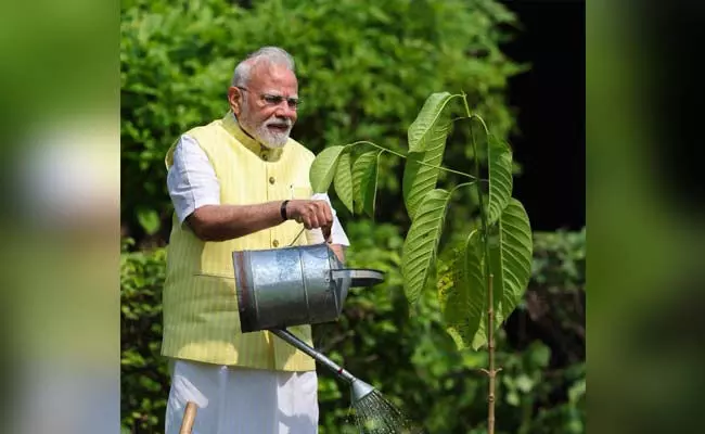 ಪ್ರಧಾನಿ ಮೋದಿಯಿಂದ ಸಸಿ ನೆಡುವ ಪೋಸ್ಟ್ : ಸಾಮಾಜಿಕ ಜಾಲತಾಣಗಳಲ್ಲಿ ವ್ಯಾಪಕ ಟೀಕೆ