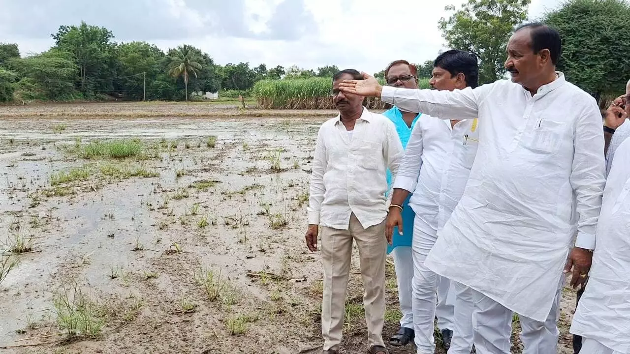 ಕಲಬುರಗಿ| ಭಾರಿ ಮಳೆಗೆ ಜನಜೀವನ ಅಸ್ತವ್ಯಸ್ತ; ಶಾಸಕ ಅಲ್ಲಂಪ್ರಭು ಪಾಟೀಲ್‌ ಭೇಟಿ
