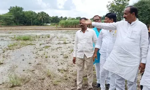 ಕಲಬುರಗಿ| ಭಾರಿ ಮಳೆಗೆ ಜನಜೀವನ ಅಸ್ತವ್ಯಸ್ತ; ಶಾಸಕ ಅಲ್ಲಂಪ್ರಭು ಪಾಟೀಲ್‌ ಭೇಟಿ