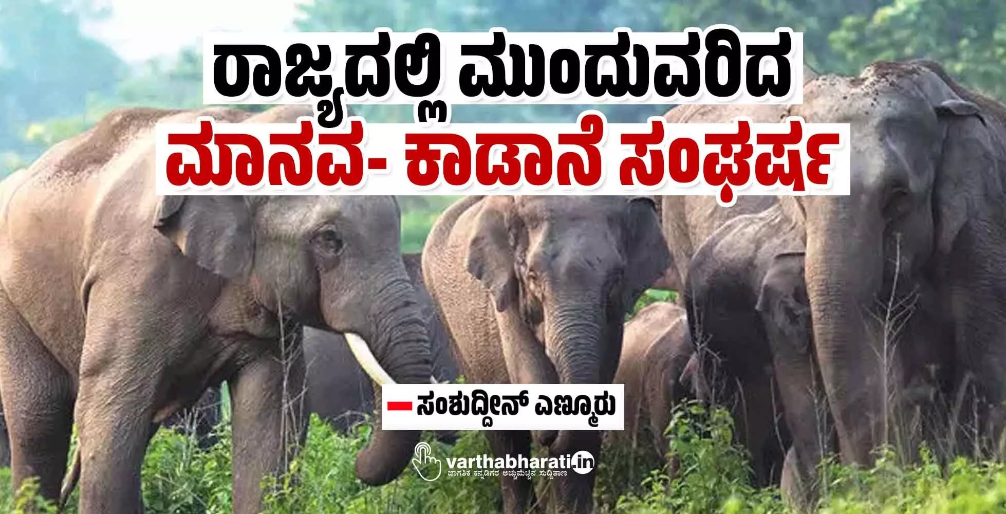 ರಾಜ್ಯದಲ್ಲಿ ಮುಂದುವರಿದ ಮಾನವ-ಕಾಡಾನೆ ಸಂಘರ್ಷ