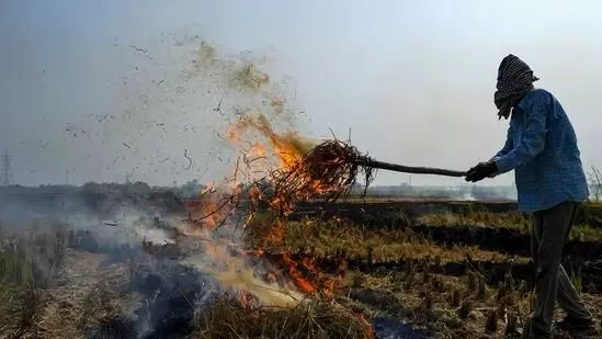 ಪಂಜಾಬ್ | ಕೃಷಿ ತ್ಯಾಜ್ಯ ದಹನ ; ಪೊಲೀಸರಿಂದ 12 ಎಫ್ಐಆರ್ ದಾಖಲು