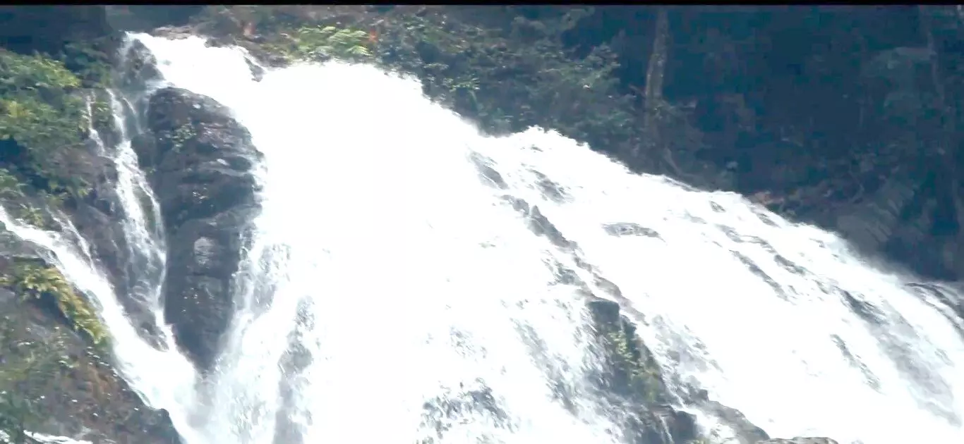 ಪ್ರವಾಸಿಗರನ್ನು ಸೆಳೆಯುತ್ತಿರುವ ಚಿತ್ರಾಬಿ ಜಲಪಾತ ಪ್ರವಾಸಿಗರನ್ನು ಸೆಳೆಯುತ್ತಿರುವ ಚಿತ್ರಾಬಿ ಜಲಪಾತ