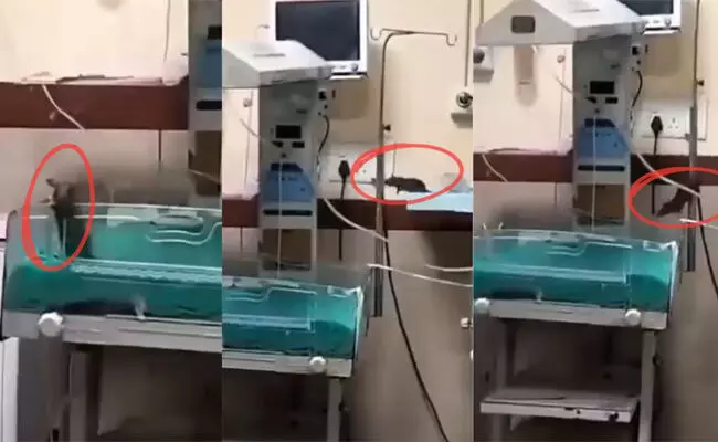 ಇಂದೋರ್ ಆಸ್ಪತ್ರೆಯಲ್ಲಿ ನವಜಾತ ಶಿಶು ಮೃತ್ಯು ಪ್ರಕರಣ | ಇಲಿ ಕಚ್ಚಿದ ಆರೋಪ; ಆದಿವಾಸಿಗಳಿಂದ ಧರಣಿ