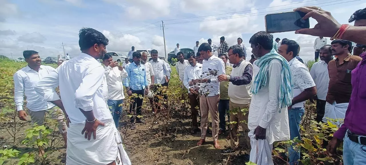 ಗುರುಮಠಕಲ್ | ಬೆಳೆಹಾನಿ ಪ್ರದೇಶ ವೀಕ್ಷಿಸಿದ ಶಾಸಕ ಶರಣಗೌಡ ಕಂದಕೂರ ಗುರುಮಠಕಲ್ | ಬೆಳೆಹಾನಿ ಪ್ರದೇಶ ವೀಕ್ಷಿಸಿದ ಶಾಸಕ ಶರಣಗೌಡ ಕಂದಕೂರ