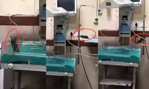 ಇಂದೋರ್ ಆಸ್ಪತ್ರೆಯಲ್ಲಿ ನವಜಾತ ಶಿಶು ಮೃತ್ಯು ಪ್ರಕರಣ | ಇಲಿ ಕಚ್ಚಿದ ಆರೋಪ; ಆದಿವಾಸಿಗಳಿಂದ ಧರಣಿ