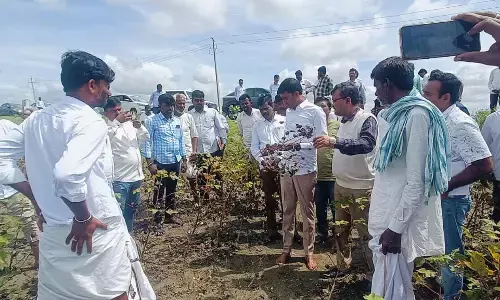 ಗುರುಮಠಕಲ್ | ಬೆಳೆಹಾನಿ ಪ್ರದೇಶ ವೀಕ್ಷಿಸಿದ ಶಾಸಕ ಶರಣಗೌಡ ಕಂದಕೂರ