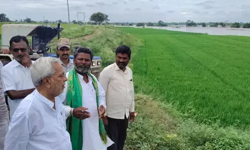 ಯಾದಗಿರಿ | ಭೀಮಾನದಿ ತೀರದ ಬೆಳೆ ಹಾನಿ ಪ್ರದೇಶಕ್ಕೆ ಶಾಸಕ ಚೆನ್ನಾರೆಡ್ಡಿ ಪಾಟೀಲ್‌ ತುನ್ನೂರು ಭೇಟಿ