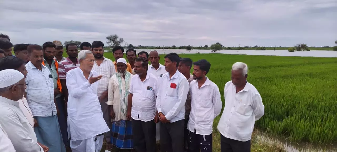 ಯಾದಗಿರಿ | ನಾಯ್ಕಲ್ ಗ್ರಾಮದ ಬೆಳೆ ಹಾನಿ ಪ್ರದೇಶಕ್ಕೆ ಶಾಸಕ ಚೆನ್ನಾರೆಡ್ಡಿ ಪಾಟೀಲ್‌ ಭೇಟಿ