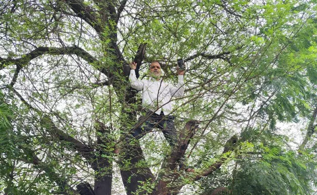 ಬೀದರ್ | ಸಮೀಕ್ಷೆಗೆ ನೆಟ್ವರ್ಕ್ ಸಮಸ್ಯೆ : ಮರ ಹತ್ತಿದ ಶಿಕ್ಷಕ ! ಬೀದರ್ | ಸಮೀಕ್ಷೆಗೆ ನೆಟ್ವರ್ಕ್ ಸಮಸ್ಯೆ : ಮರ ಹತ್ತಿದ ಶಿಕ್ಷಕ !