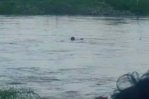 ವಿಜಯಪುರ|ಬೈಕ್‌ ಸಮೇತ ನೀರಿನಲ್ಲಿ ಕೊಚ್ಚಿ ಹೋದ ಇಬ್ಬರು ಯುವಕರು; ಓರ್ವ ನಾಪತ್ತೆ