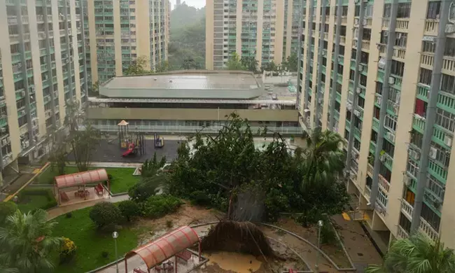 `ರಾಗಸ ಚಂಡಮಾರುತಕ್ಕೆ ತತ್ತರಿಸಿದ ತೈವಾನ್ : 14 ಮಂದಿ ಮೃತ್ಯು, 34 ಮಂದಿಗೆ ಗಾಯ