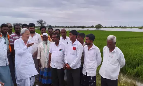 ಯಾದಗಿರಿ | ನಾಯ್ಕಲ್ ಗ್ರಾಮದ ಬೆಳೆ ಹಾನಿ ಪ್ರದೇಶಕ್ಕೆ ಶಾಸಕ ಚೆನ್ನಾರೆಡ್ಡಿ ಪಾಟೀಲ್‌ ಭೇಟಿ