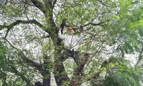 ಬೀದರ್ | ಸಮೀಕ್ಷೆಗೆ ನೆಟ್‌ವರ್ಕ್ ಸಮಸ್ಯೆ : ಮರ ಹತ್ತಿದ ಶಿಕ್ಷಕ !