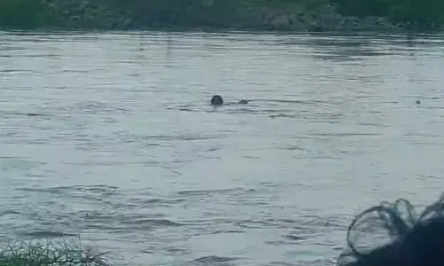 ವಿಜಯಪುರ|ಬೈಕ್‌ ಸಮೇತ ನೀರಿನಲ್ಲಿ ಕೊಚ್ಚಿ ಹೋದ ಇಬ್ಬರು ಯುವಕರು; ಓರ್ವ ನಾಪತ್ತೆ