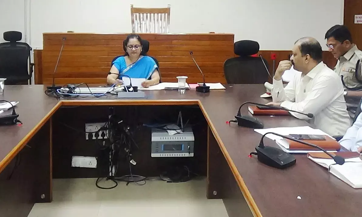 ತಾತ್ಕಾಲಿಕ ಸುಡುಮದ್ದು ಮಾರಾಟಕ್ಕೆ ನಿಯಮಾನುಸಾರ ಕ್ರಮ: ಉಡುಪಿ ಡಿಸಿ ಸ್ವರೂಪ ಟಿ.ಕೆ.