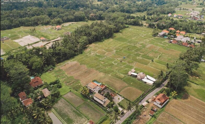 ದಶಕಗಳು ಕಳೆದರೂ ಜನರಿಗೆ ಸಿಗದ ನಿವೇಶನ ಭಾಗ್ಯ
