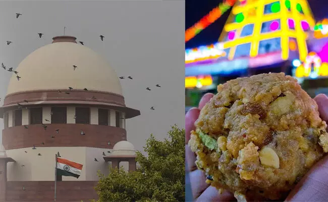 ತಿರುಪತಿ ಲಡ್ಡು ಕಲಬೆರಕೆ ಹಗರಣ : ಸಿಟ್ ತನಿಖೆಯಲ್ಲಿ ಸಿಬಿಐ ಅಧಿಕಾರಿಯ ಸೇರ್ಪಡೆ ರದ್ದುಪಡಿಸಿದ ಹೈಕೋರ್ಟ್ ಆದೇಶಕ್ಕೆ ಸುಪ್ರೀಂ ತಡೆಯಾಜ್ಞೆ