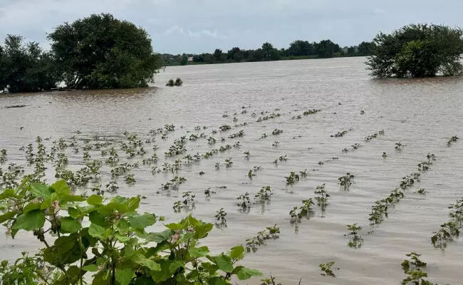 ಅಪಾಯಮಟ್ಟದಲ್ಲಿ ಹರಿಯುತ್ತಿರುವ ಭೀಮಾ ನದಿ: 70ಕ್ಕೂ ಹೆಚ್ಚು ಗ್ರಾಮಗಳಿಗೆ ನುಗ್ಗಿದ ನೀರು