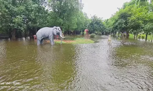 ಮಳೆಗೆ ಜಲಾವೃತವಾದ ಯಾದಗಿರಿಯ ಲುಂಬಿನಿ ಉದ್ಯಾನವನ