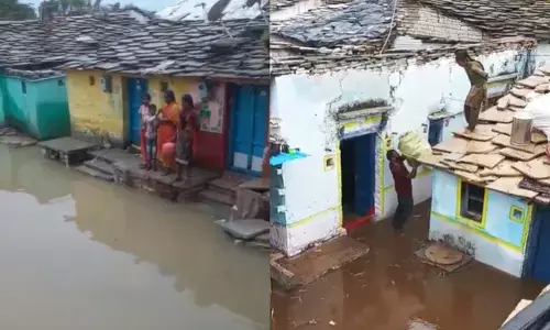 ಶಹಾಬಾದ್ | ಜಲಾವೃತಗೊಂಡ ಹೊನಗುಂಟಾ ಗ್ರಾಮ : ಮೂಲಭೂತ ಸೌಲಭ್ಯ ಒದಗಿಸಲು ಆಗ್ರಹ