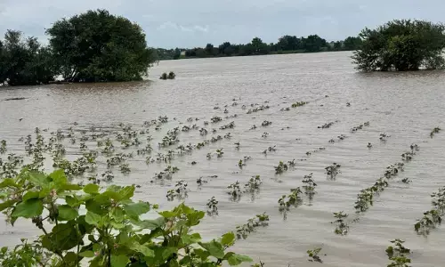 ಅಪಾಯಮಟ್ಟದಲ್ಲಿ ಹರಿಯುತ್ತಿರುವ ಭೀಮಾ ನದಿ: 70ಕ್ಕೂ ಹೆಚ್ಚು ಗ್ರಾಮಗಳಿಗೆ ನುಗ್ಗಿದ ನೀರು