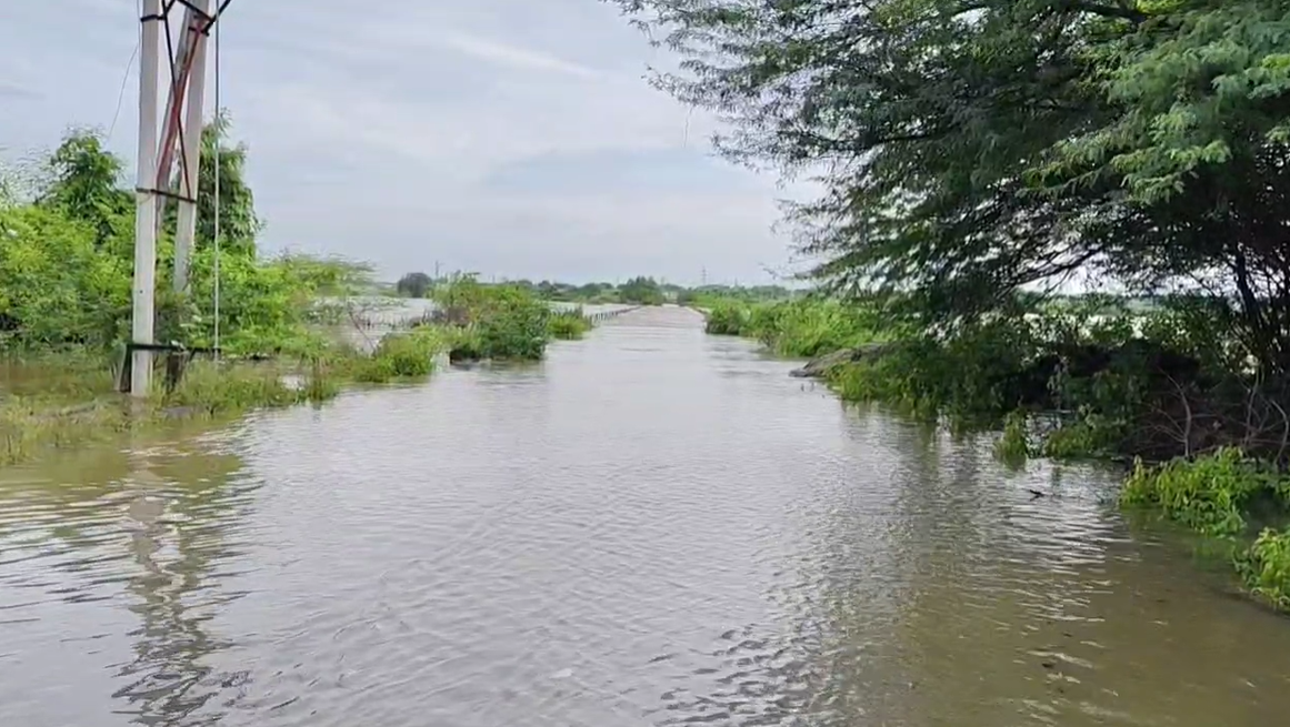 ಕಲಬುರಗಿ | ಕಟ್ಟಿಸಂಗಾವಿ ಸೇತುವೆ ಜಲಾವೃತ : ರಾಷ್ಟ್ರೀಯ ಹೆದ್ದಾರಿ ಬಂದ್ ಕಲಬುರಗಿ | ಕಟ್ಟಿಸಂಗಾವಿ ಸೇತುವೆ ಜಲಾವೃತ : ರಾಷ್ಟ್ರೀಯ ಹೆದ್ದಾರಿ ಬಂದ್