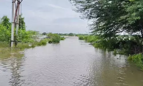 ಕಲಬುರಗಿ | ಕಟ್ಟಿಸಂಗಾವಿ ಸೇತುವೆ ಜಲಾವೃತ : ರಾಷ್ಟ್ರೀಯ ಹೆದ್ದಾರಿ ಬಂದ್