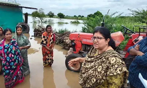 ಕಲಬುರಗಿ | ಪ್ರವಾಹ ಪೀಡಿತ ಪ್ರದೇಶಕ್ಕೆ ಭೇಟಿ ನೀಡಿದ ಪ್ರಾದೇಶಿಕ ಆಯುಕ್ತೆ ಝಹೀರಾ ನಸ್ಸಿಮ್