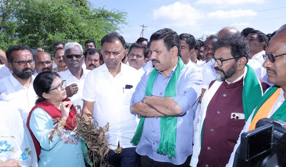 ಅನ್ನದಾತರ ಸಂಕಷ್ಟಕ್ಕೆ ಬಿಜೆಪಿ ಸದಾ ಸ್ಪಂದನೆ : ವಿಜಯೇಂದ್ರ