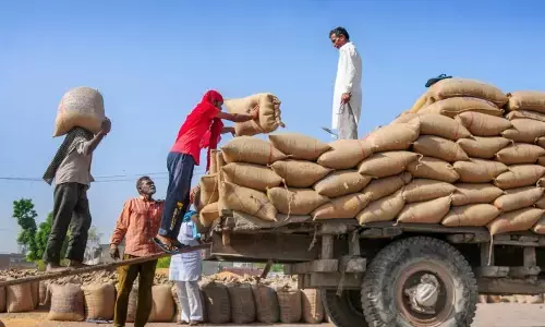 ಆಹಾರ ಧಾನ್ಯಗಳ ಖರೀದಿ: 41,186 ರೈತರಿಗೆ ಇನ್ನೂ 384.23 ಕೋಟಿ ರೂ. ಪಾವತಿ ಬಾಕಿ