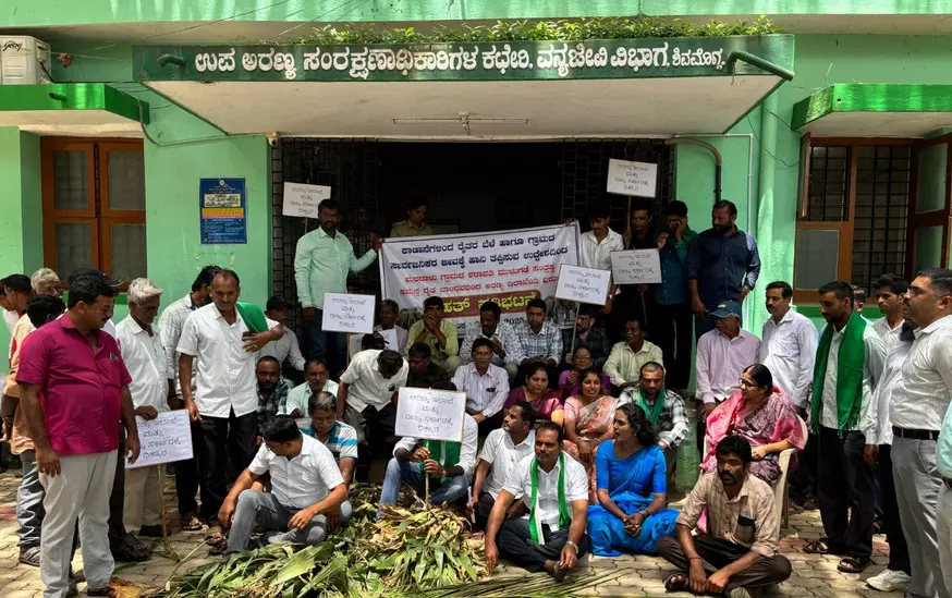 ಕಾಡಾನೆ ಉಪಟಳ | ಬೆಳೆ ತಂದು ಶಿವಮೊಗ್ಗ ವನ್ಯಜೀವಿ ವಲಯದ ಉಪಸಂರಕ್ಷಣಾಧಿಕಾರಿ ಕಚೇರಿ ಎದುರು ಸುರಿದು ರೈತರ ಆಕ್ರೋಶ