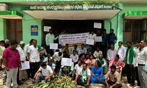 ಕಾಡಾನೆ ಉಪಟಳ | ಬೆಳೆ ತಂದು ಶಿವಮೊಗ್ಗ ವನ್ಯಜೀವಿ ವಲಯದ ಉಪಸಂರಕ್ಷಣಾಧಿಕಾರಿ ಕಚೇರಿ ಎದುರು ಸುರಿದು ರೈತರ ಆಕ್ರೋಶ