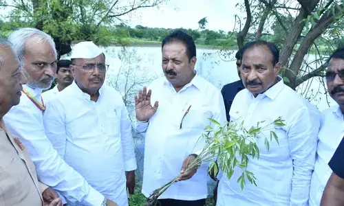 ಕಲಬುರಗಿಯಲ್ಲಿ ಬೆಳೆ ಹಾನಿ ಪ್ರದೇಶ ವೀಕ್ಷಿಸಿದ ಕೃಷಿ ಸಚಿವ ಎನ್.ಚೆಲುವರಾಯಸ್ವಾಮಿ