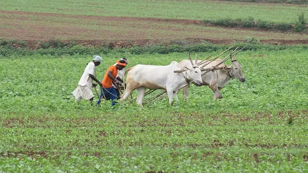 ಭಾರತದಲ್ಲಿ  ಪ್ರತಿ ಗಂಟೆಗೆ ಒಬ್ಬ ರೈತ ಆತ್ಮಹತ್ಯೆ : ವರದಿ
