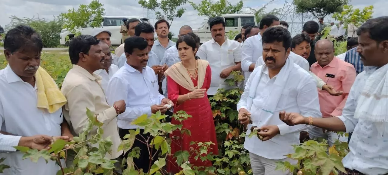 ಮಳೆಯಿಂದ ಹಾನಿಗೊಳಗಾದ ಬೆಳೆಗಳಿಗೆ ಸಮರ್ಪಕ ಪರಿಹಾರ ನೀಡಲಾಗುವುದು: ಶಾಸಕ ಬಸನಗೌಡ ದದ್ಧಲ್ ಮಳೆಯಿಂದ ಹಾನಿಗೊಳಗಾದ ಬೆಳೆಗಳಿಗೆ ಸಮರ್ಪಕ ಪರಿಹಾರ ನೀಡಲಾಗುವುದು: ಶಾಸಕ ಬಸನಗೌಡ ದದ್ಧಲ್