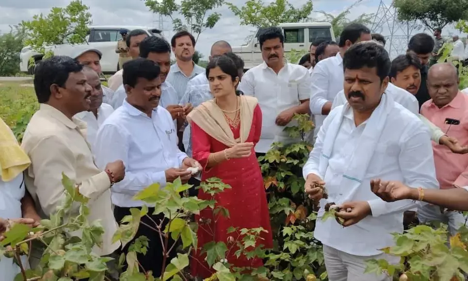 ಮಳೆಯಿಂದ ಹಾನಿಗೊಳಗಾದ ಬೆಳೆಗಳಿಗೆ ಸಮರ್ಪಕ ಪರಿಹಾರ ನೀಡಲಾಗುವುದು: ಶಾಸಕ ಬಸನಗೌಡ ದದ್ಧಲ್