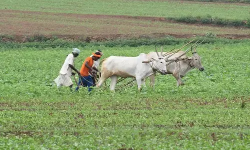 ಭಾರತದಲ್ಲಿ  ಪ್ರತಿ ಗಂಟೆಗೆ ಒಬ್ಬ ರೈತ ಆತ್ಮಹತ್ಯೆ : ವರದಿ