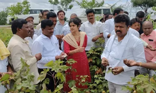 ಮಳೆಯಿಂದ ಹಾನಿಗೊಳಗಾದ ಬೆಳೆಗಳಿಗೆ ಸಮರ್ಪಕ ಪರಿಹಾರ ನೀಡಲಾಗುವುದು: ಶಾಸಕ ಬಸನಗೌಡ ದದ್ಧಲ್