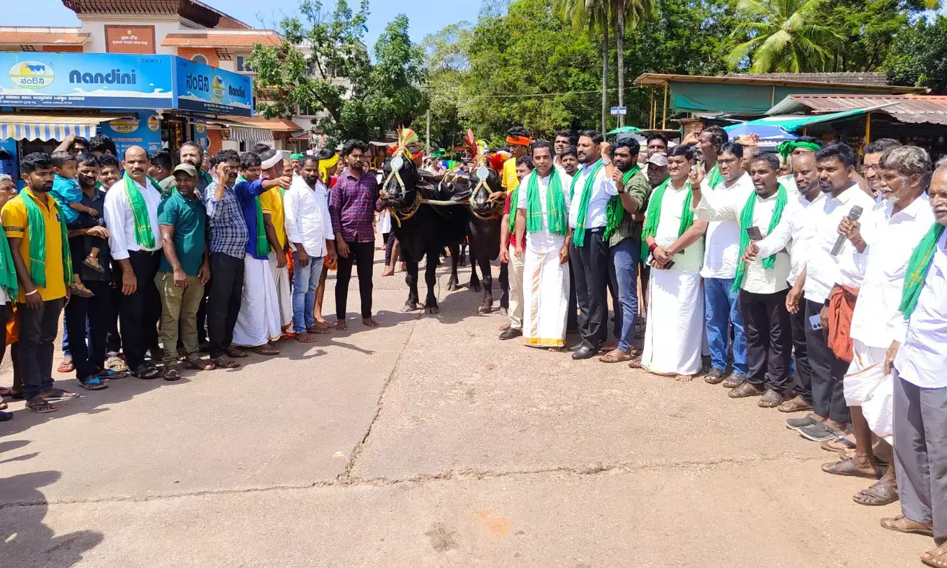 ಬೈಂದೂರು ತಾಲೂಕು ಆಡಳಿತ ಸೌಧಕ್ಕೆ ಕೋಣಗಳನ್ನು ಕಟ್ಟಿ ಪ್ರತಿಭಟನೆ