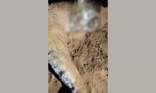 ಚಾಮರಾಜನಗರ | ಮತ್ತೊಂದು ಹುಲಿ ಹತ್ಯೆ: ಮಣ್ಣಿನಲ್ಲಿ ಹುದುಗಿಸಿದ ಸ್ಥಿತಿಯಲ್ಲಿ ಕಳೇಬರ ಪತ್ತೆ