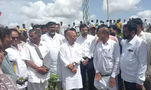 ರಾಯಚೂರಿನಲ್ಲಿ ಬೆಳೆಹಾನಿ ಪರಿಶೀಲನೆ ನಡೆಸಿದ ಸಚಿವ ಡಾ.ಶರಣಪ್ರಕಾಶ್‌ ಪಾಟೀಲ್‌