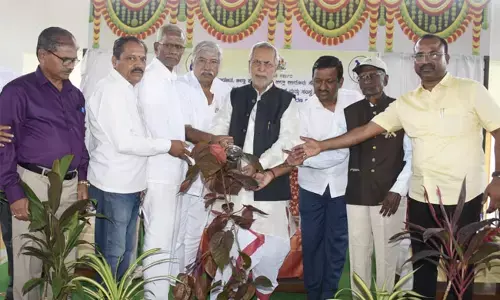 ಯಾದಗಿರಿಯಲ್ಲಿ ವಿಶ್ವ ಹಿರಿಯ ನಾಗರಿಕರ ದಿನಾಚರಣೆ