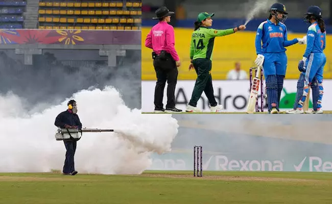 ಭಾರತ-ಪಾಕಿಸ್ತಾನ ವಿಶ್ವಕಪ್ ಪಂದ್ಯಕ್ಕೆ ಕೀಟಗಳ ಕಾಟ!