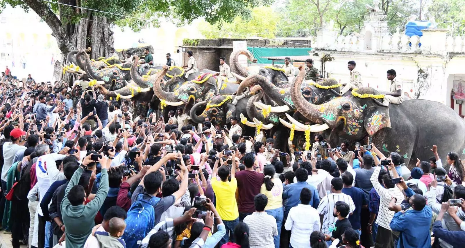 ಕ್ಯಾಪ್ಟನ್ ಅಭಿಮನ್ಯು ನೇತೃತ್ವದ ಗಜಪಡೆಗೆ ಬೀಳ್ಕೊಡುಗೆ