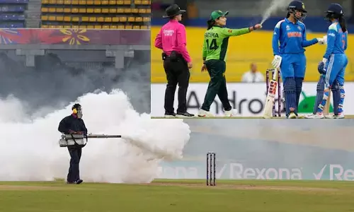 ಭಾರತ-ಪಾಕಿಸ್ತಾನ ವಿಶ್ವಕಪ್ ಪಂದ್ಯಕ್ಕೆ ಕೀಟಗಳ ಕಾಟ!