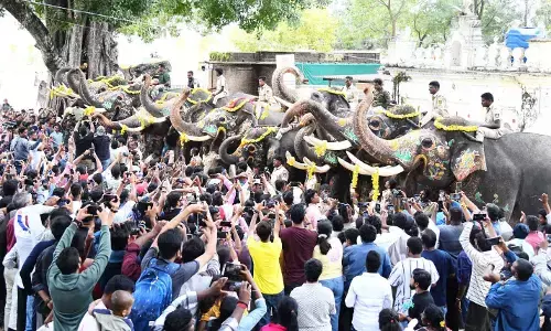 ಕ್ಯಾಪ್ಟನ್ ಅಭಿಮನ್ಯು ನೇತೃತ್ವದ ಗಜಪಡೆಗೆ ಬೀಳ್ಕೊಡುಗೆ