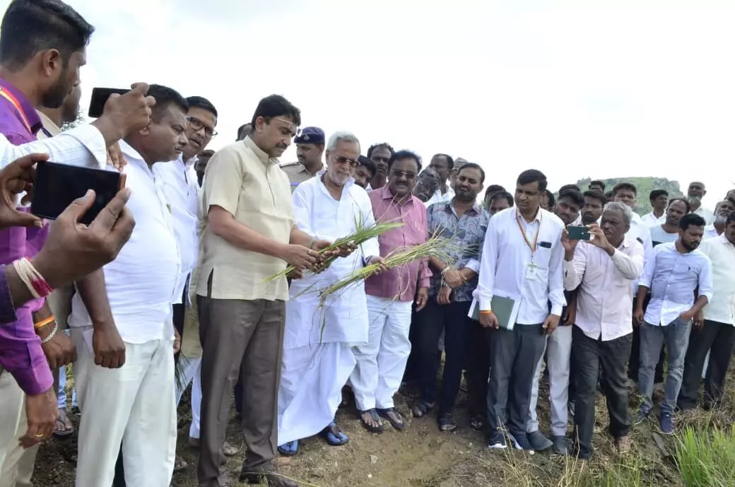 ಬೆಳೆ ಹಾನಿ : ಸಮೀಕ್ಷೆ ಮುಗಿಯುತ್ತಿದ್ದಂತೆ ಶೀಘ್ರ ಪರಿಹಾರ ವಿತರಣೆ : ಸಂಸದ ಜಿ.ಕುಮಾರ್ ನಾಯಕ್