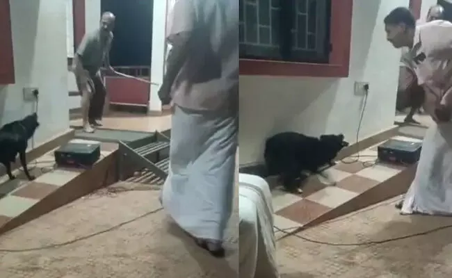 ಕೇರಳದಲ್ಲಿ ಬೀದಿ ನಾಯಿಗಳ ಉಪಟಳ | ಜಾಗೃತಿ ಮೂಡಿಸುವ ಬೀದಿ ನಾಟಕದ ವೇಳೆ ನಟನನ್ನೇ ಕಚ್ಚಿದ ಬೀದಿ ನಾಯಿ!